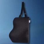 Car and Chair Back Support Cushion