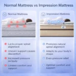 Impression - Image 6