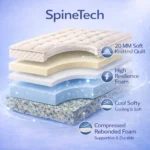 SpineTech - Image 4